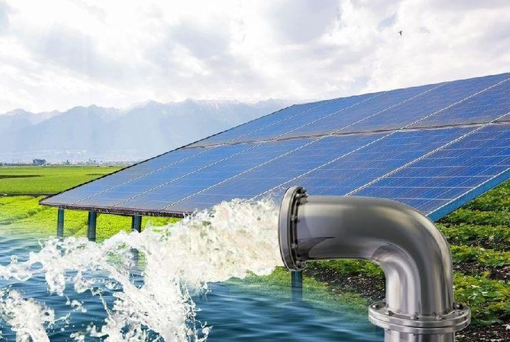 Hệ Bơm Tưới Sầu Riêng Chư Sê Gia Lai